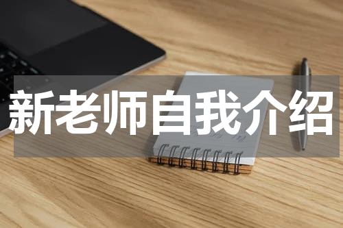 新老师自我介绍