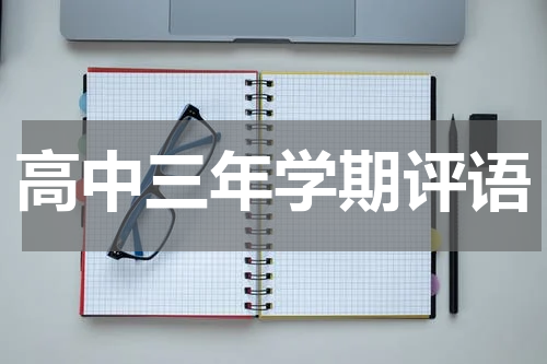 高中三年学期评语