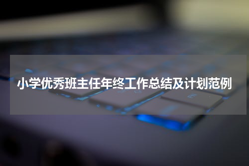 小学优秀班主任年终工作总结及计划范例