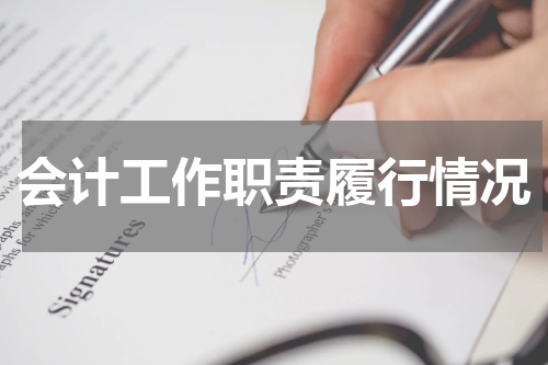 会计工作职责履行情况