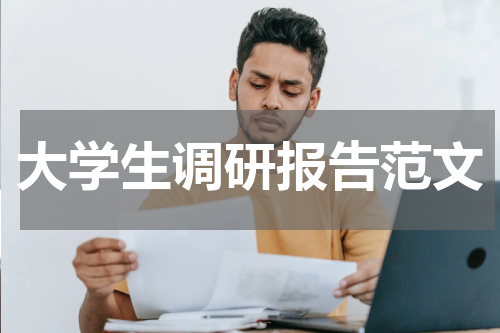 大学生调研报告范文