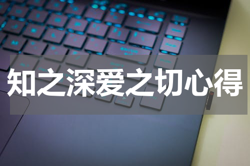 知之深爱之切心得