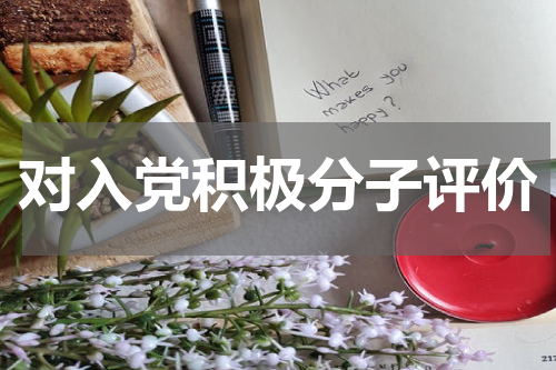 对入党积极分子评价
