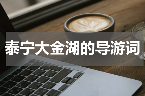 泰宁大金湖的导游词