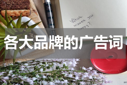 各大品牌的广告词