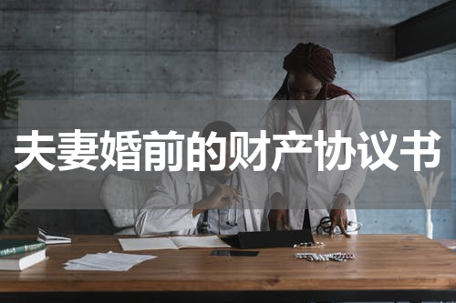 夫妻婚前的财产协议书