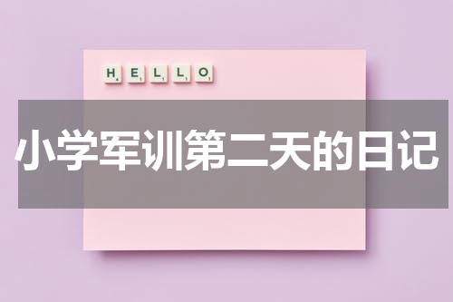 小学军训第二天的日记