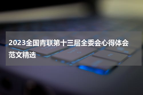 2023全国青联第十三届全委会心得体会范文精选