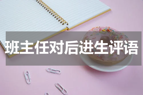 班主任对后进生评语