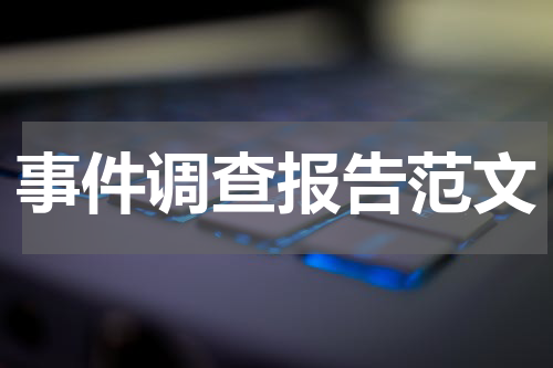 事件调查报告范文