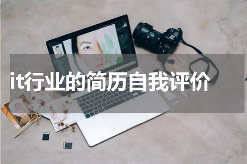 it行业的简历自我评价