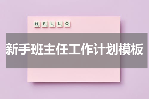 新手班主任工作计划模板