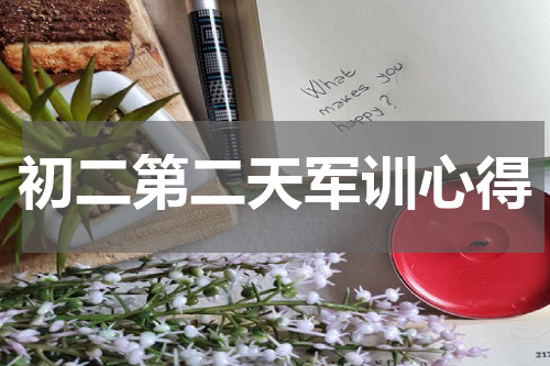 初二第二天军训心得