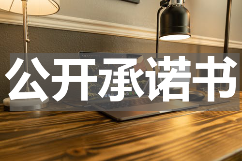 公开承诺书