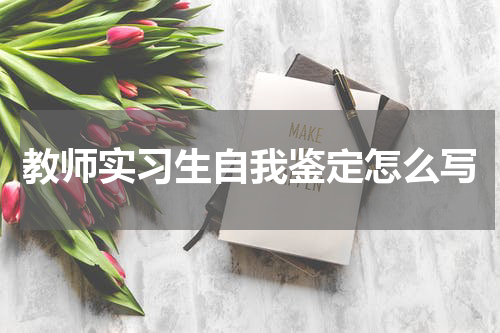 教师实习生自我鉴定怎么写