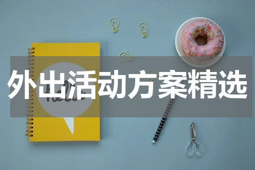 外出活动方案精选