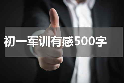 初一军训有感500字