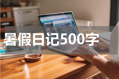 暑假日记500字