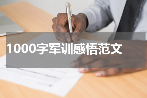 1000字军训感悟范文