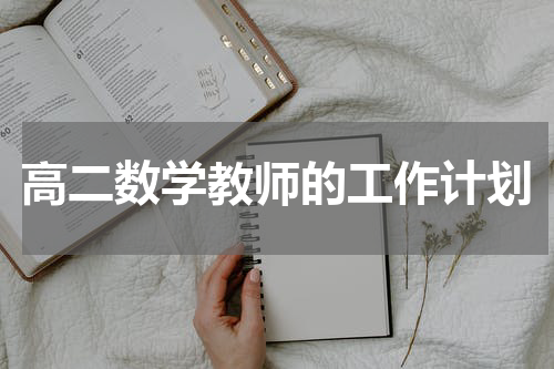 高二数学教师的工作计划