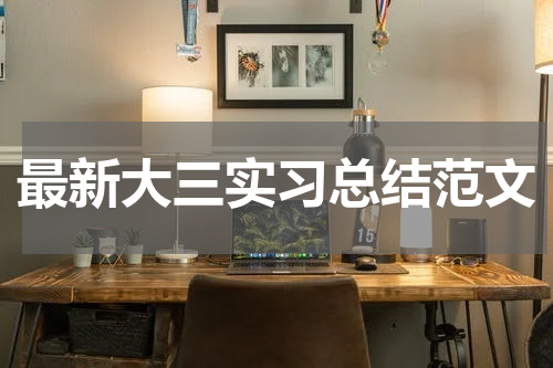 最新大三实习总结范文