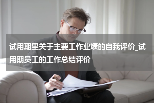 试用期里关于主要工作业绩的自我评价_试用期员工的工作总结评价