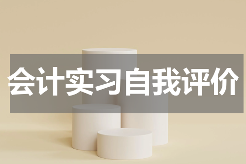 会计实习自我评价