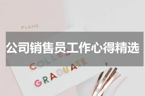 公司销售员工作心得精选