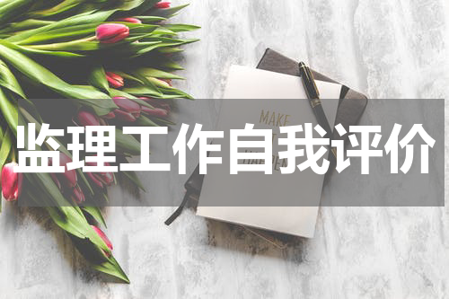 监理工作自我评价