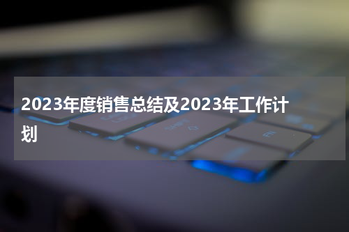 2023年度销售总结及2023年工作计划
