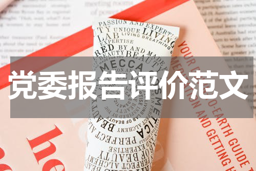 党委报告评价范文