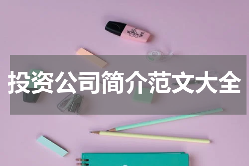 投资公司简介范文大全
