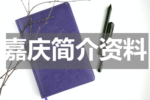 嘉庆简介资料