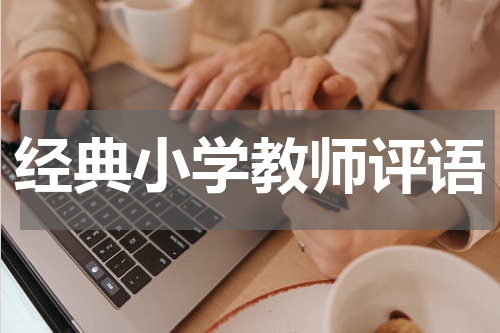经典小学教师评语