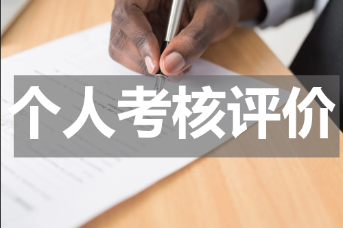 个人考核评价
