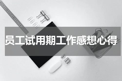 员工试用期工作感想心得