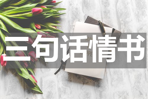三句话情书