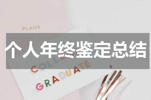 个人年终鉴定总结