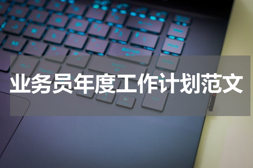 业务员年度工作计划范文