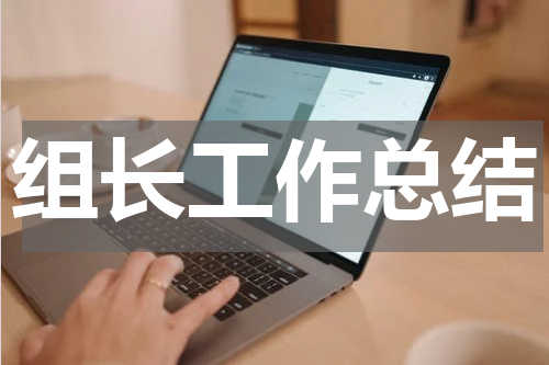 组长工作总结