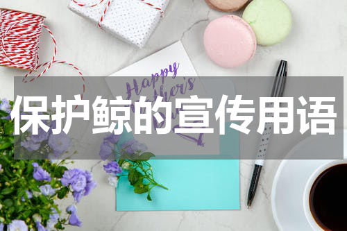 保护鲸的宣传用语