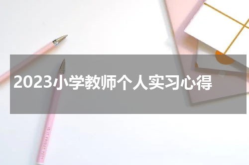 2023小学教师个人实习心得