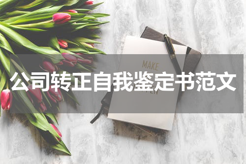 公司转正自我鉴定书范文