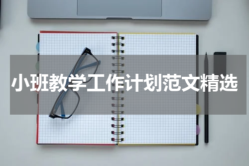 小班教学工作计划范文精选