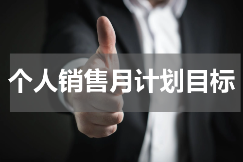 个人销售月计划目标