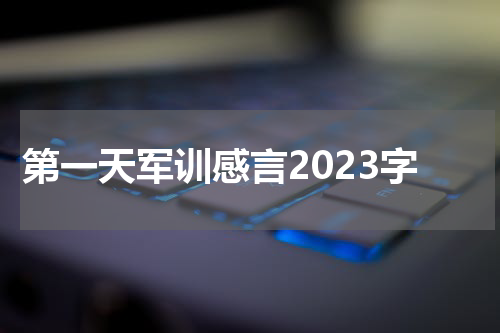 第一天军训感言2023字