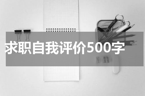 求职自我评价500字