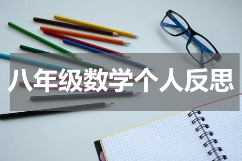 八年级数学个人反思