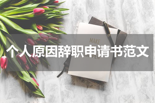 个人原因辞职申请书范文