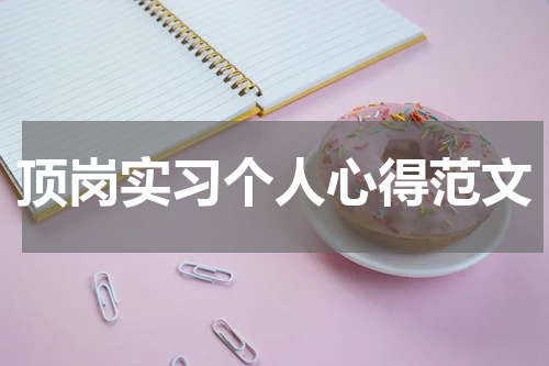 顶岗实习个人心得范文